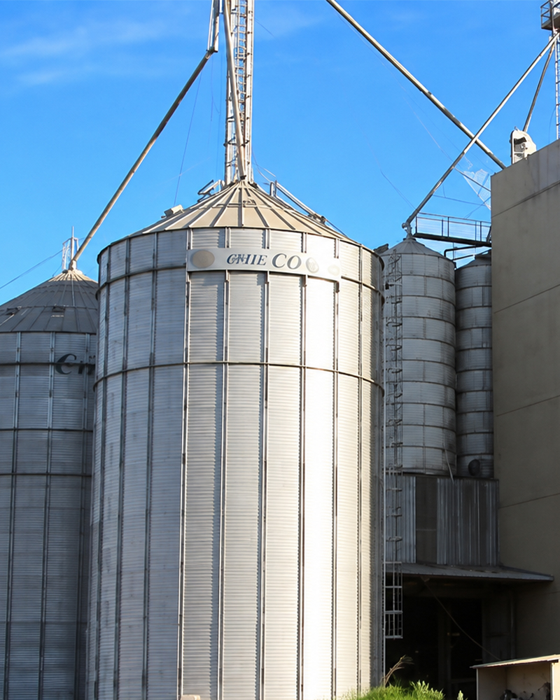 Cargill