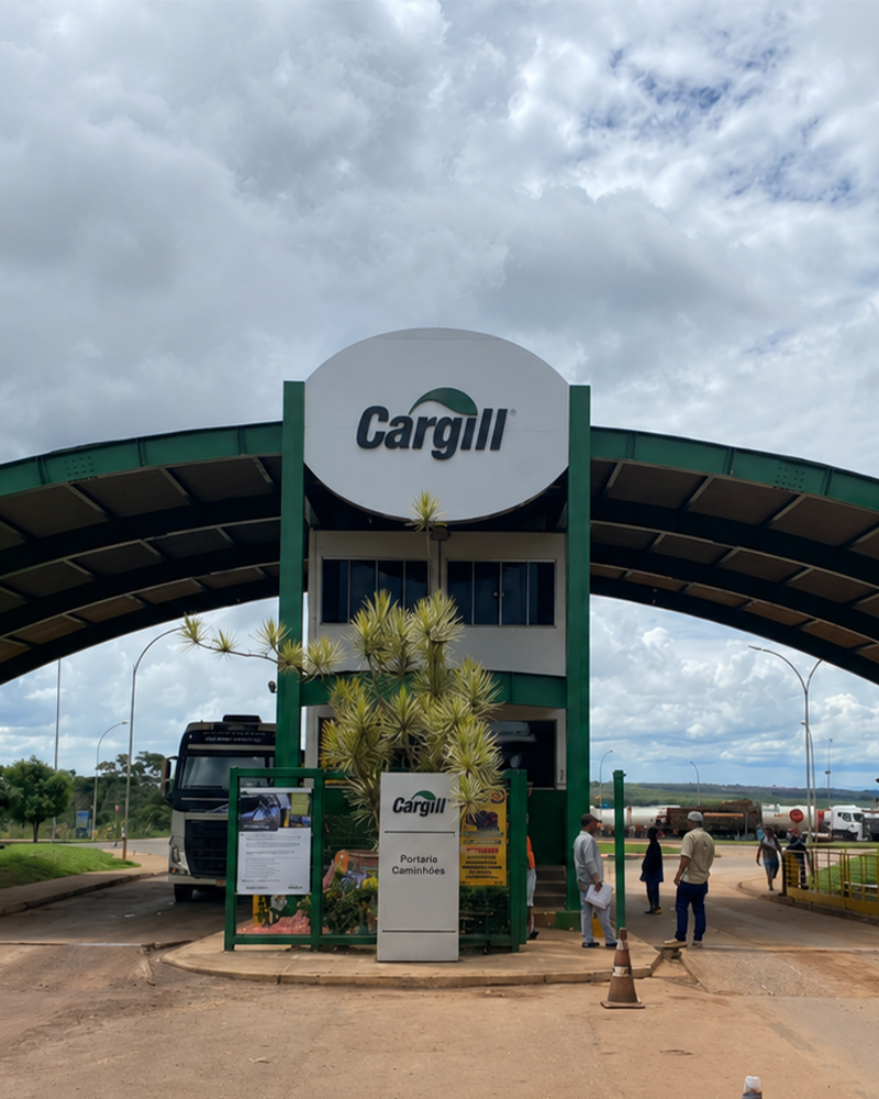Execução de estrutura metálica — Cargill
